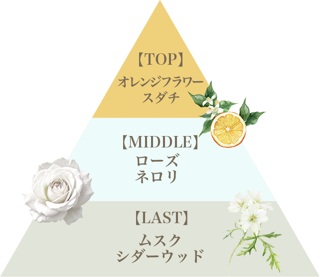 リッチオーデコロン（ボニーレイズ）/Rich Eau de Cologne (Bonny Rays